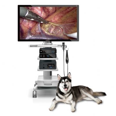 MINDRAY VETINA 3 CS7 ENDOSKOPİ SİSTEMİ
